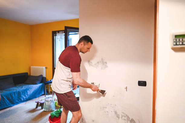 Best Fast Mold Removal  in Fulton, IL